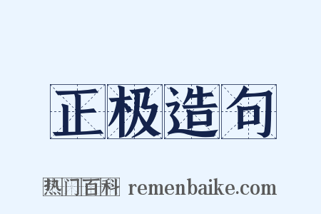 正极造句是什么意思的图片